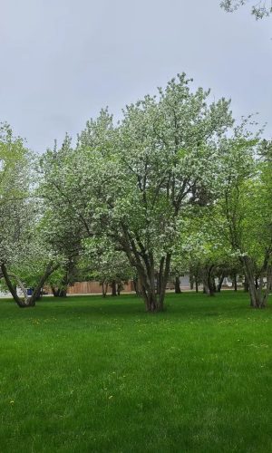 283160940_10166983652100179_8003611511323352144_n