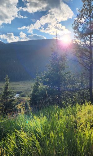 372981579_10168684164075179_8512854015099207991_n