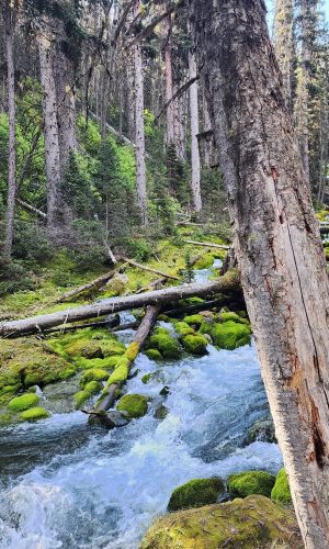 372992882_10168684164190179_6341080554464459900_n